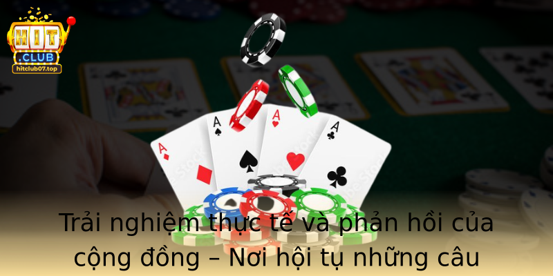 Trải nghiệm thực tế và phản hồi của cộng đồng – Nơi hội tụ những câu chuyện thành công và bài học quý giá
